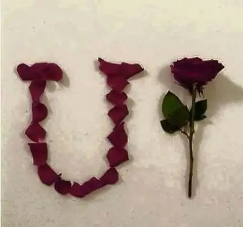 U-name-beautiful-photo U-name-beautiful-photo