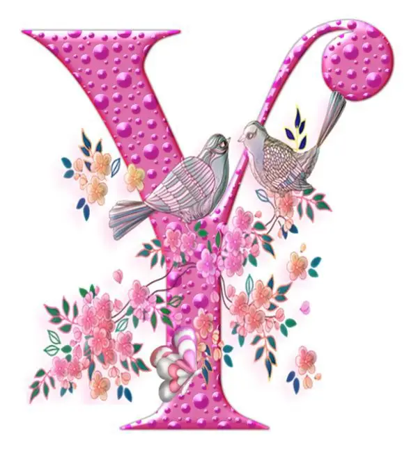 Y-name-dp-stylish Y-name-dp-stylish