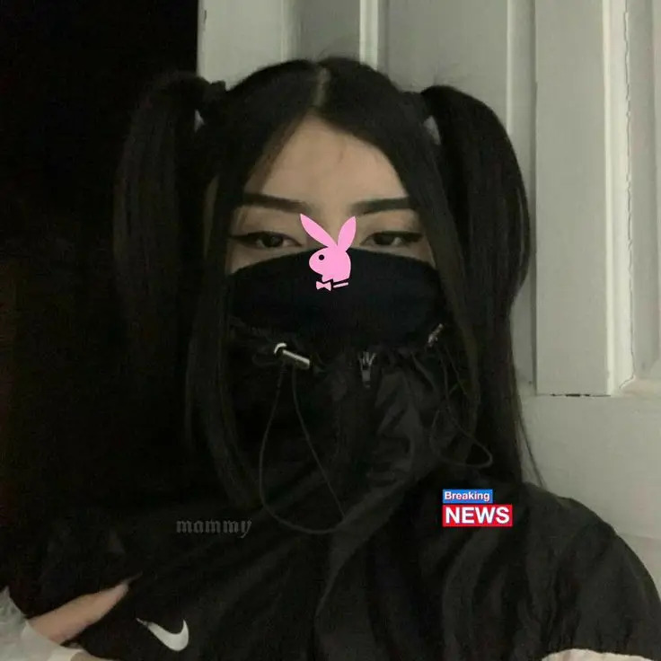 cat-cool-pfp cat-cool-pfp