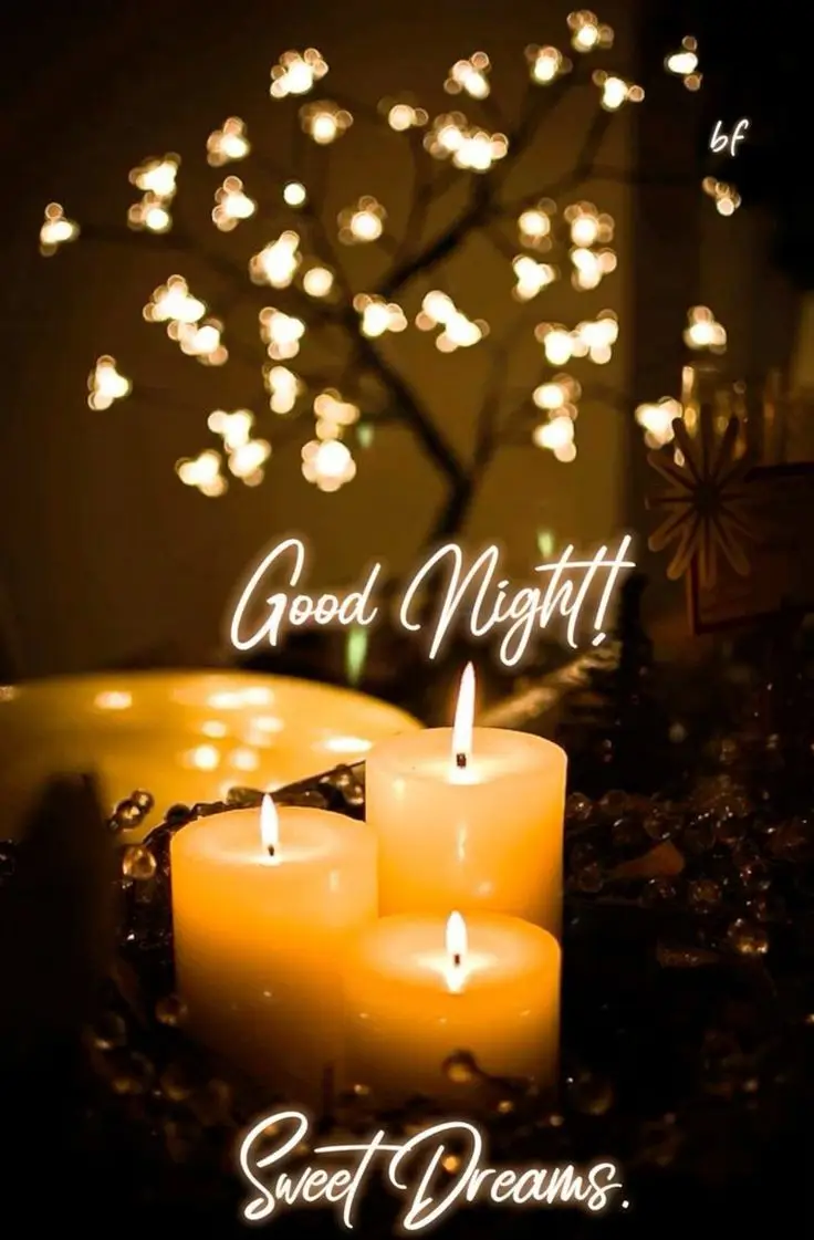 good-night-images-cute-animals good-night-images-cute-animals