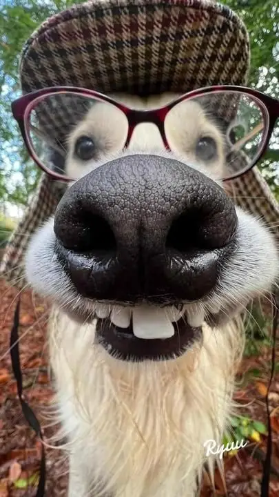 goofy-ahh-alien-pictures goofy-ahh-alien-pictures
