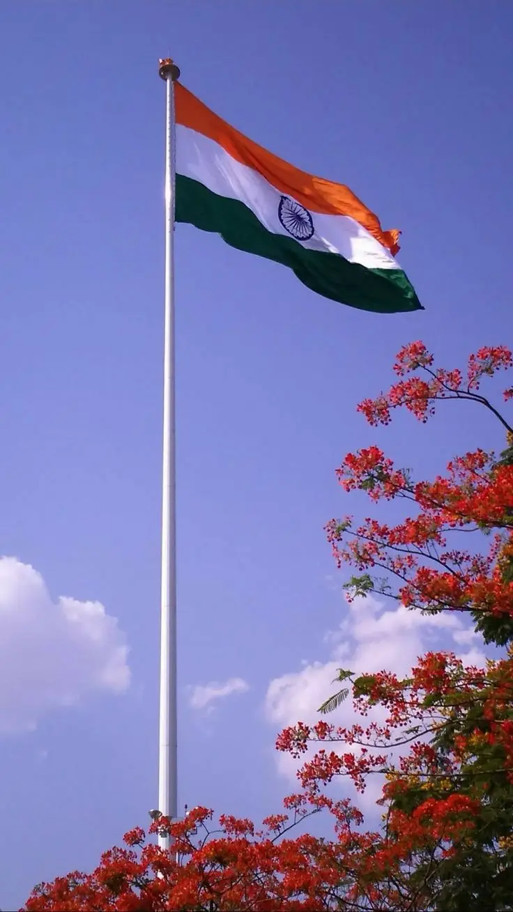 tiranga-dp-c-name tiranga-dp-c-name